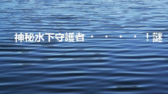 神秘水下守護者！謎一般的清淤泥機器人，揭開它的神秘面紗！